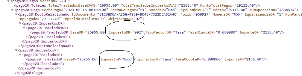 IEPS Ecodex debe ser 003.jpg